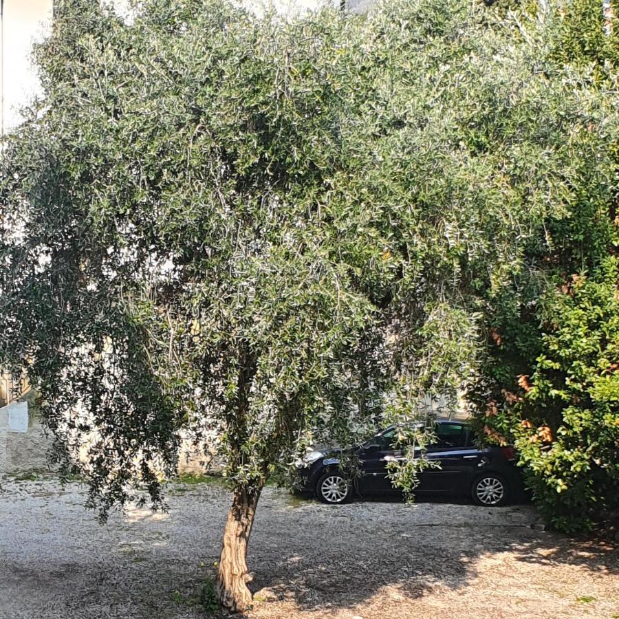 Appartamento Lido 'With Parking Space Included' 토스콜라노마데노 외부 사진